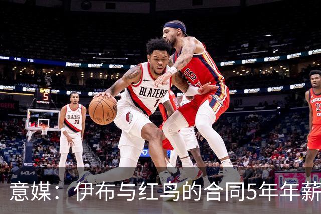意媒：伊布与红鸟的合同5年年薪100万欧，职责除了竞技还涉及商业